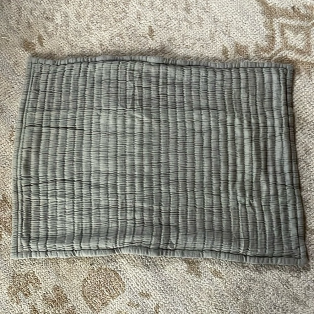 PINE CONE HILL Comfy Cotton Std. Sham